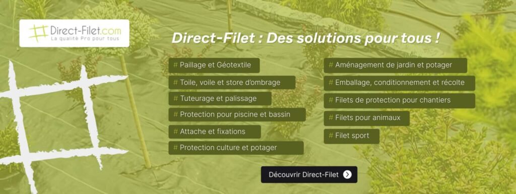 Présentation des services de Direct Filet