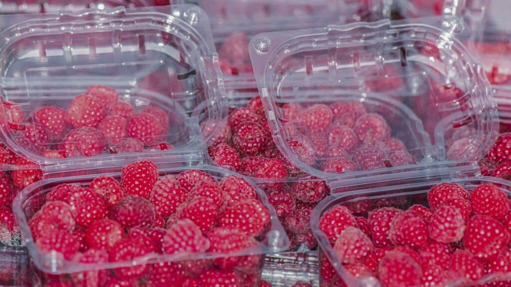 Barquettes plastiques framboises