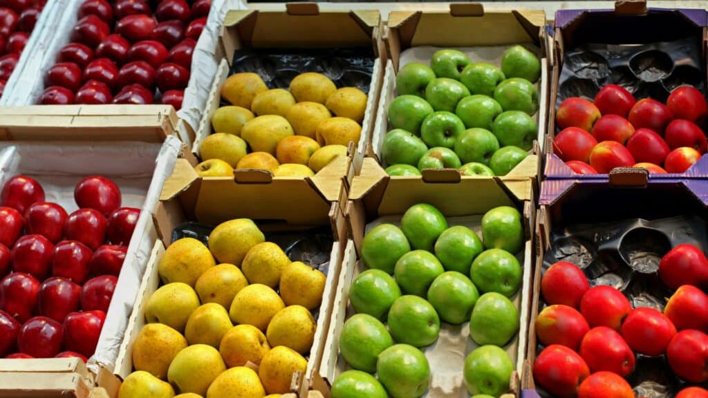 Plateaux carton fruits et légumes avec alvéoles